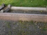 image of grave number 196454